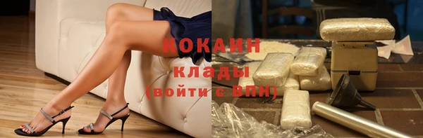 тгк Алзамай