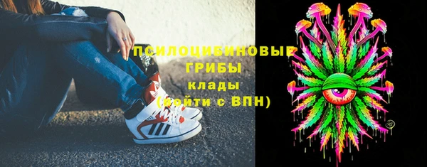 тгк Алзамай